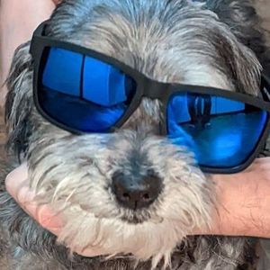 Meet your Posher, Mika